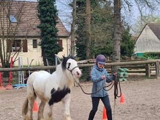 Enfant menant un poney pie en main dans la carrière.