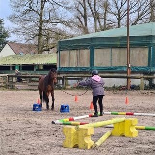 Enfants installant un parcours d'equifeel avec des barres et des plots.