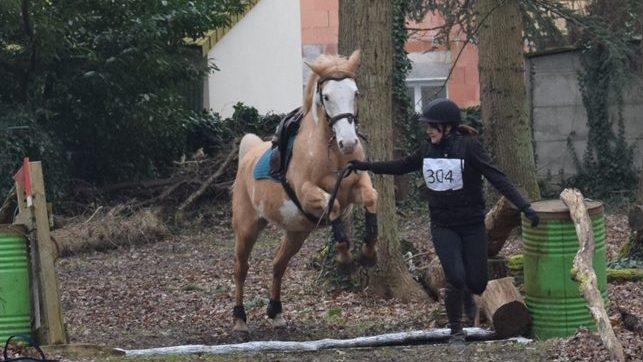 Cavalier franchissant une fosse sur le parcours de cross.