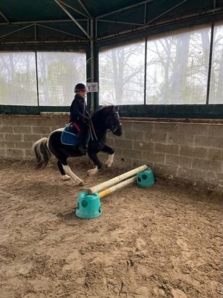 Poney et sa cavalière au petit galop dans le manège couvert.
