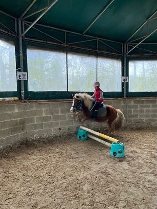 Jeune cavalière franchissant une barre au sol à poney dans le manège.