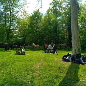 Campement de bivouac installé dans une prairie pendant une randonnée.