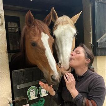 Deux chevaux passant la tête par la porte de leur box, caressés par une cavalière.