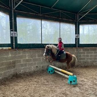 Jeune cavalière franchissant un petit obstacle à poney dans le manège.