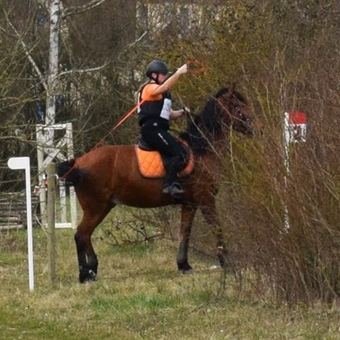 Cavalier passant sous une branche basse sur un parcours en terrain varié.