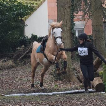 Cavalier franchissant une fosse sur le parcours de cross.