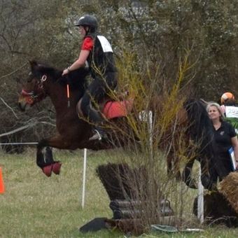 Cheval et cavalier franchissant une haie en extérieur.