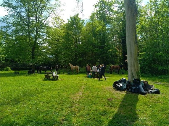 Campement de bivouac installé dans une prairie, en lisière de bois.