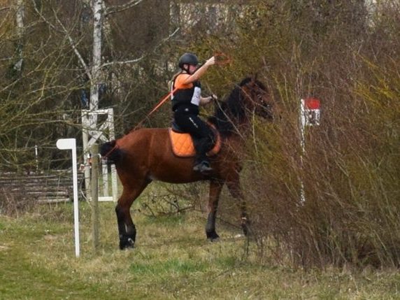 Cavalier passant sous une branche basse en extérieur.